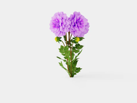 BLUETIFUL 3D Model