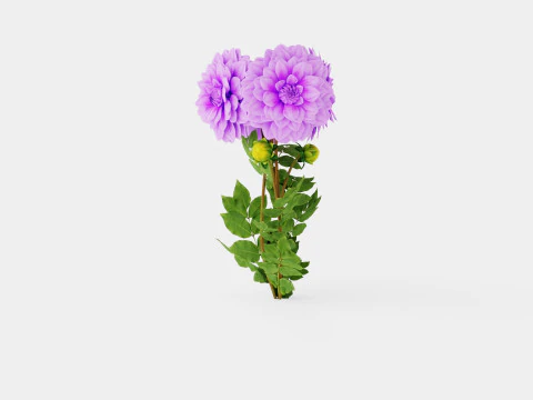 BLUETIFUL 3D Model