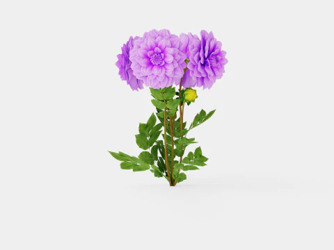 BLUETIFUL 3D Model