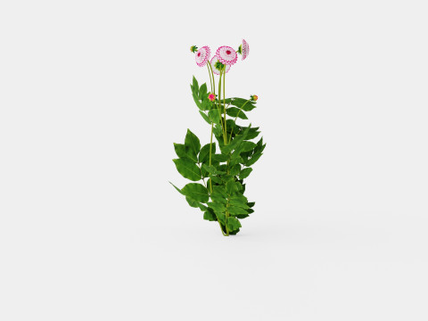 LITTLE ROBERT Modelo 3D