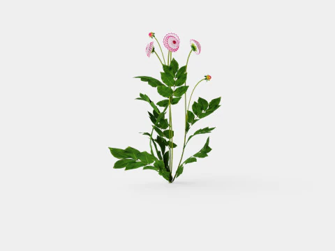 LITTLE ROBERT 3D Model