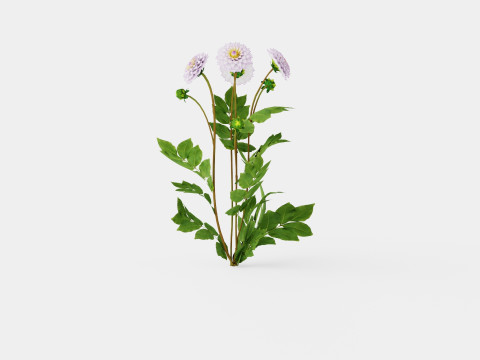 CRAZY LOVE 3D Model