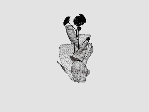 CRAZY LOVE 3D 모델