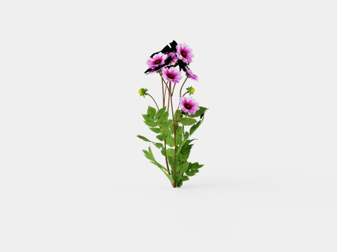 BLUE BAYOU 3D Model