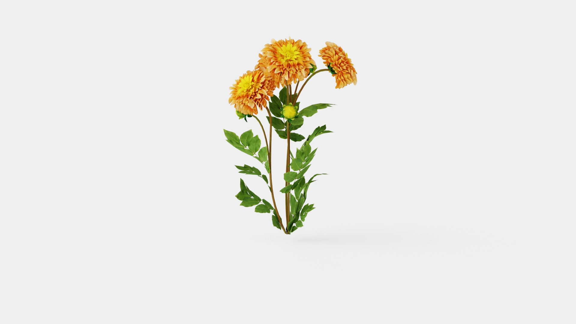 TYRELL 3D Model .c4d .max .obj .3ds .fbx .stl .blend 