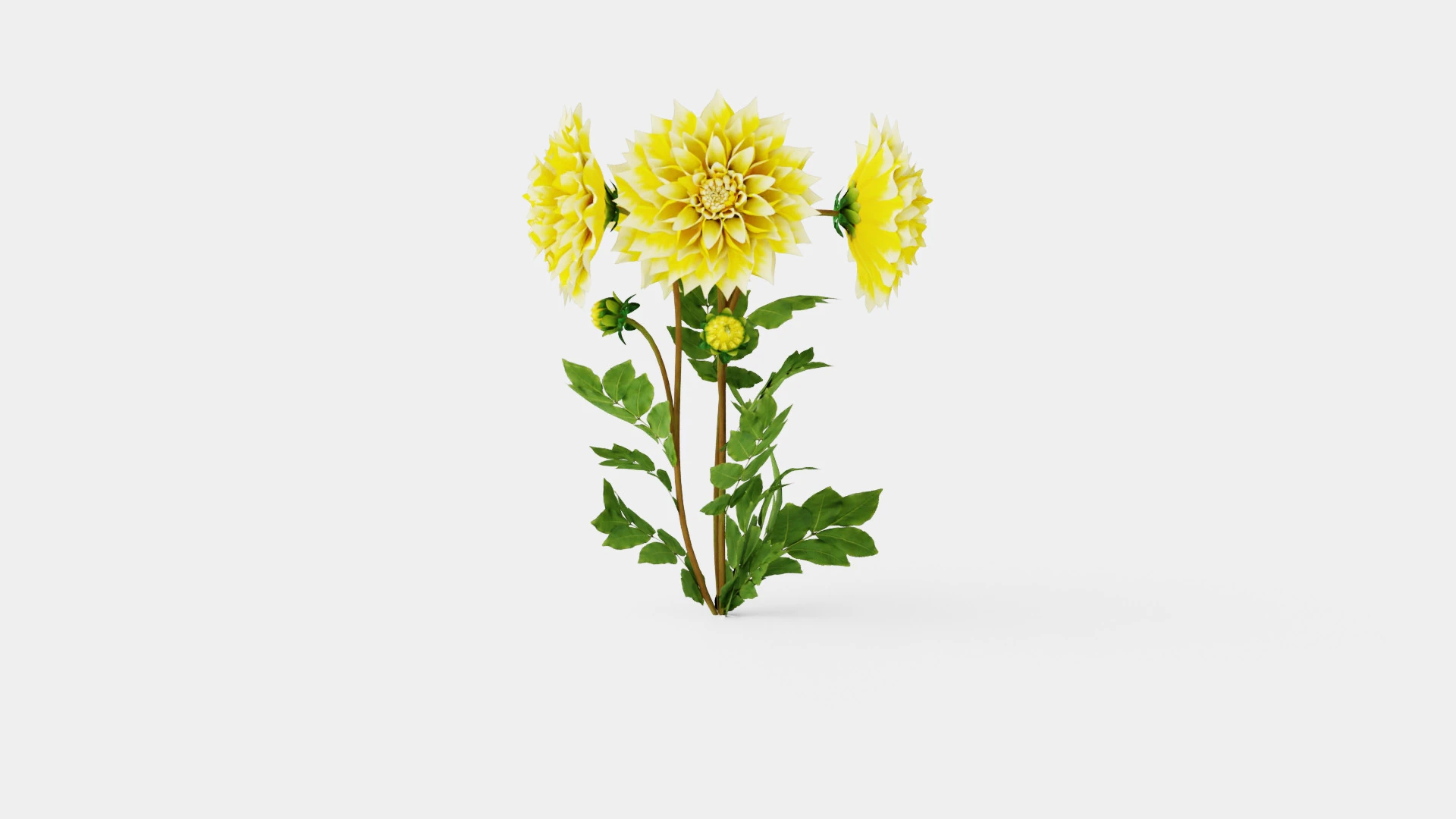 GRAND PRIX 3D Model .c4d .max .obj .3ds .fbx .stl .blend 