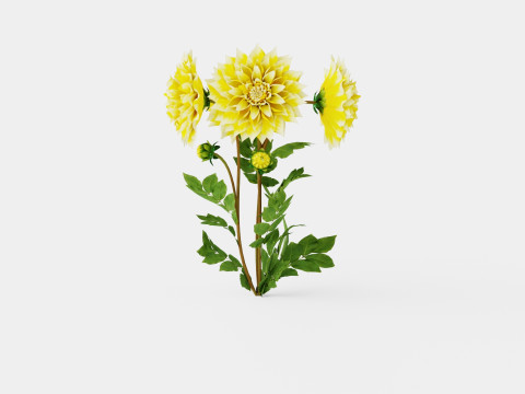 GRAND PRIX 3D Model