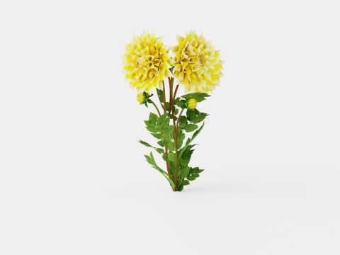 GRAND PRIX Model 3D