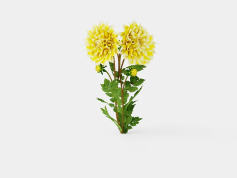 GRAND PRIX 3D Model