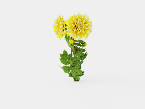 GRAND PRIX Model 3D