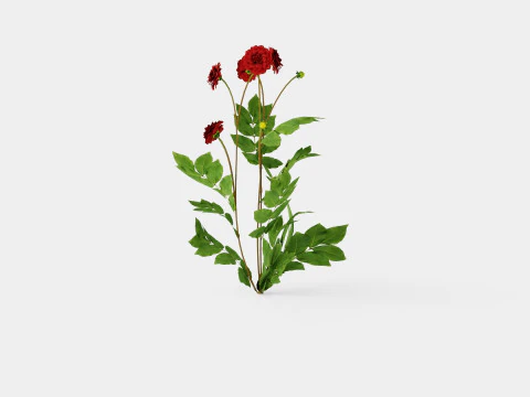 NOC ARABSKA Model 3D