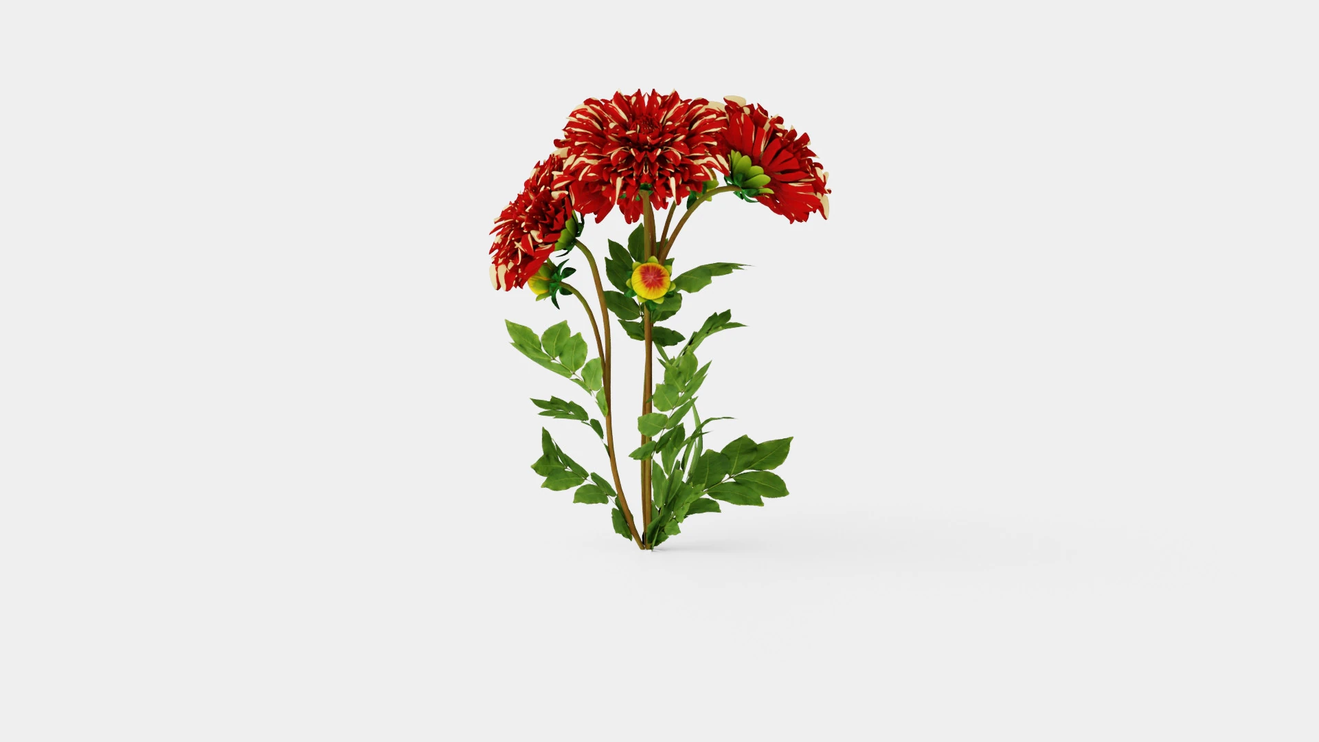 BOHEMIAN SPARTACUS 3D Model .c4d .max .obj .3ds .fbx .stl .blend