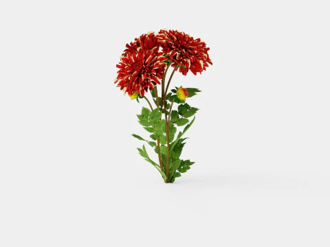 BOHEMIAN SPARTACUS 3D Model