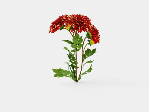 BOHEMIAN SPARTACUS 3D Model