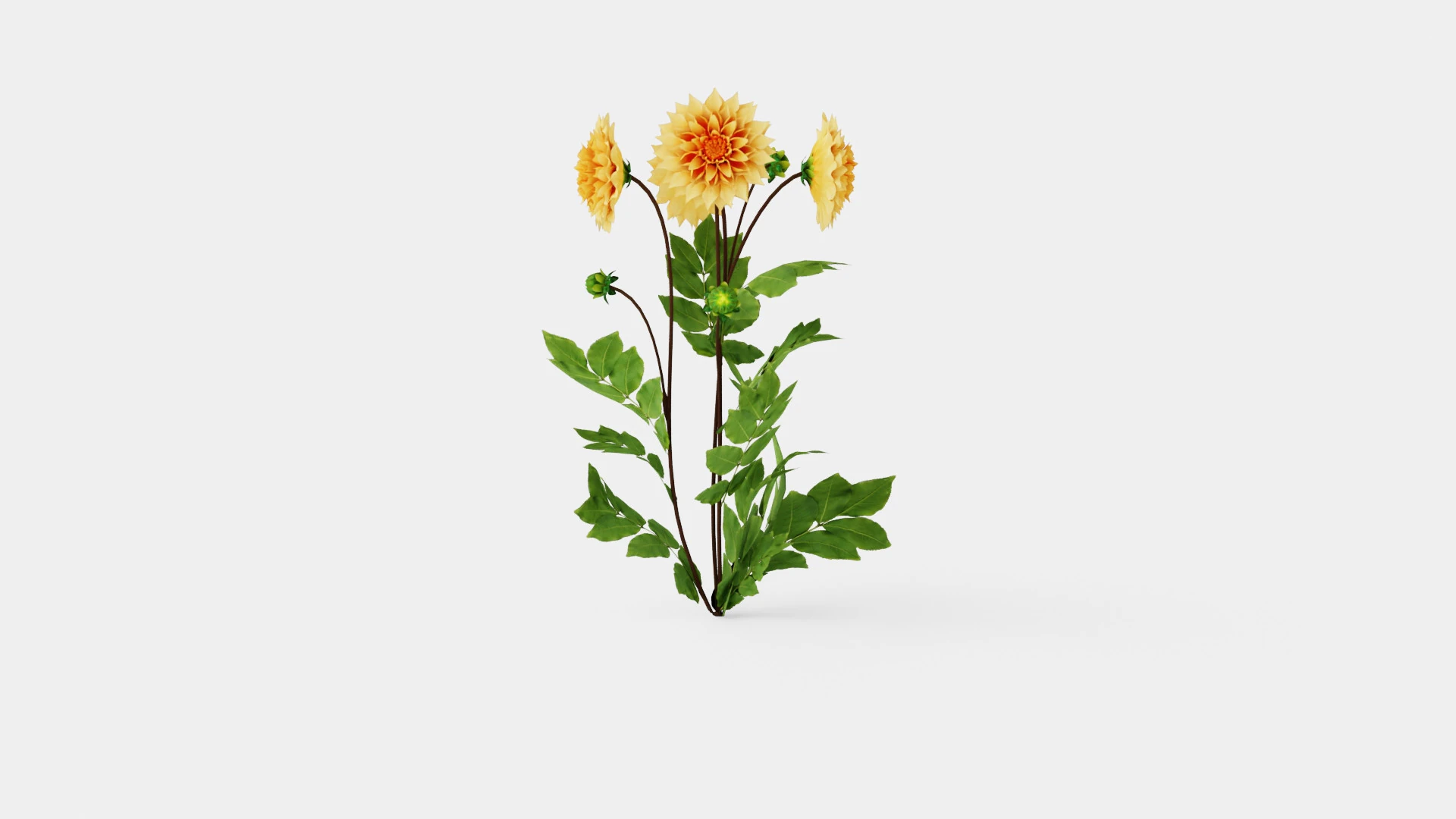 GLORIE VAN NOORDWIJK 3D Model .c4d .max .obj .3ds .fbx .stl .blend