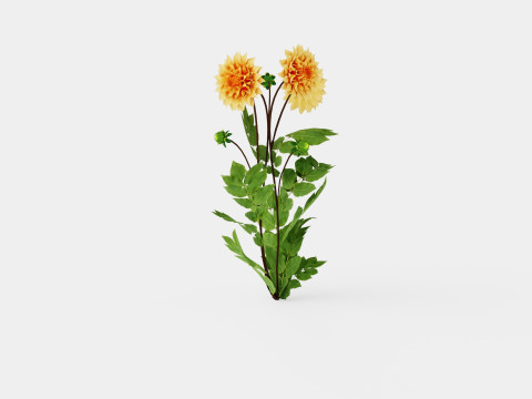 GLORIE VAN NOORDWIJK Model 3D
