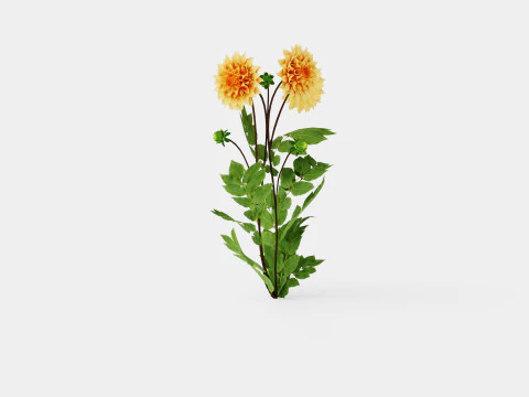 GLORIE VAN NOORDWIJK 3D Model