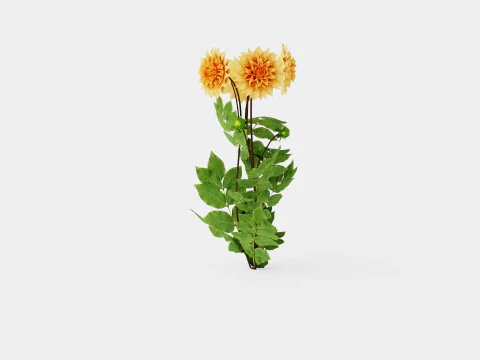 GLORIE VAN NOORDWIJK 3D Model