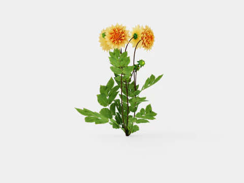 GLORIE VAN NOORDWIJK 3D Model