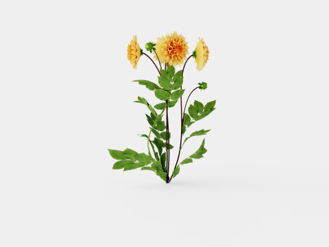 GLORIE VAN NOORDWIJK Model 3D