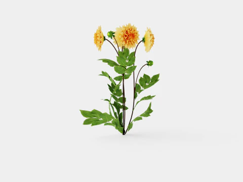 GLORIE VAN NOORDWIJK 3D Model