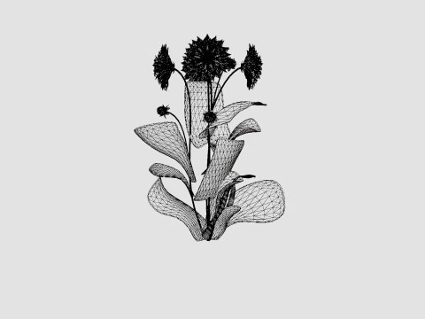 GLORIE VAN NOORDWIJK 3D Model