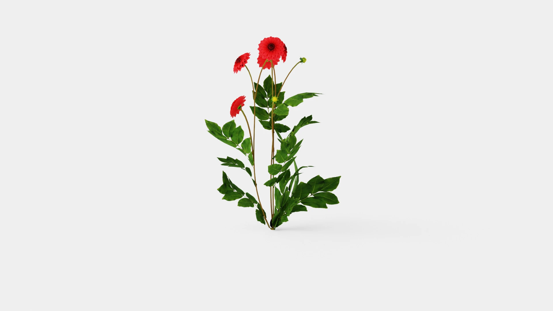 COOL FLAME 3D Model .c4d .max .obj .3ds .fbx .stl .blend 
