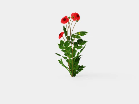 COOL FLAME 3D Model