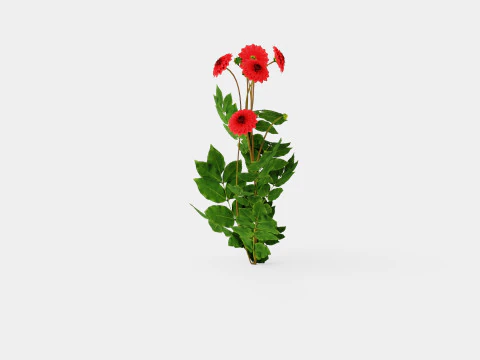 COOL FLAME 3D Model