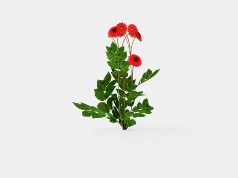 COOL FLAME 3D Model
