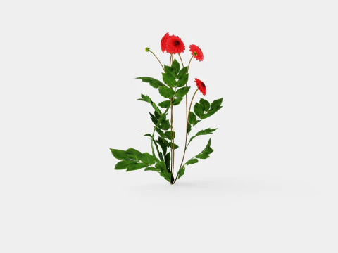 COOL FLAME 3D Model