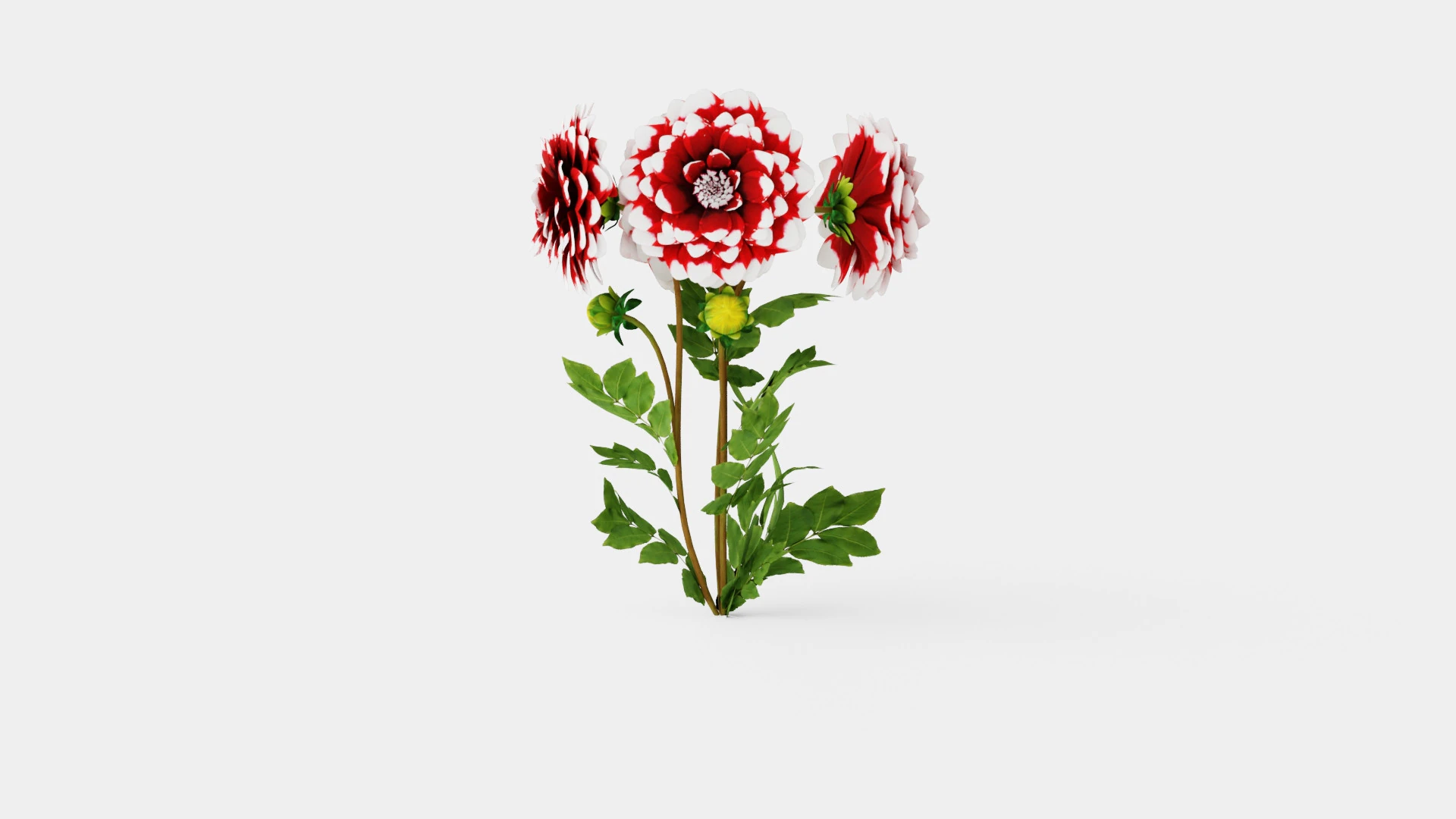 DUET 3D Model .c4d .max .obj .3ds .fbx .stl .blend 