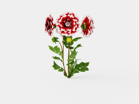 DUET 3D Model