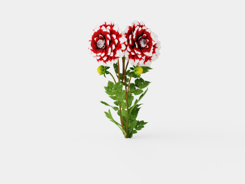 DUET 3D Model