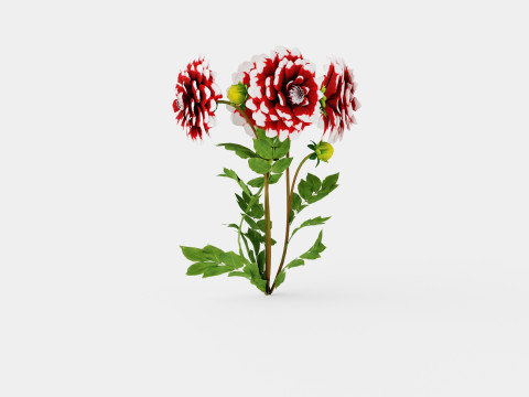 DUET 3D Model