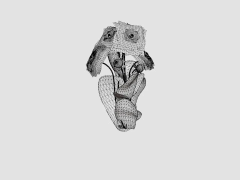 JOWEY GIPSY 3D Model