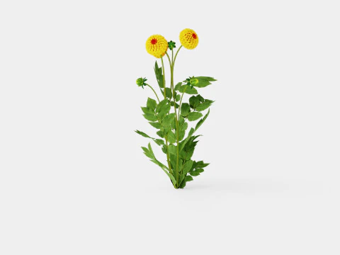 SOUVENIR D ETE 3D Model