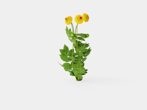 SOUVENIR D ETE 3D Model