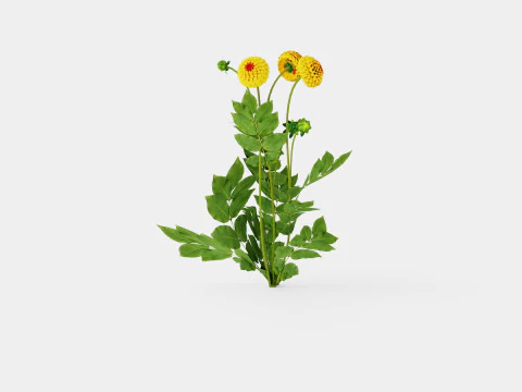 SOUVENIR D ETE 3D Model