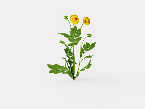 SOUVENIR D ETE 3D 模型