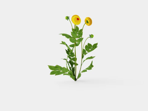 SOUVENIR D ETE 3D Model