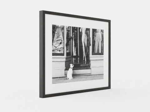 Arte fotografica Modello 3D