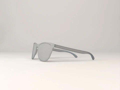 WAKKNOX Sunglass 3D Model
