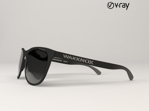 WAKKNOX Sunglass 3D Model