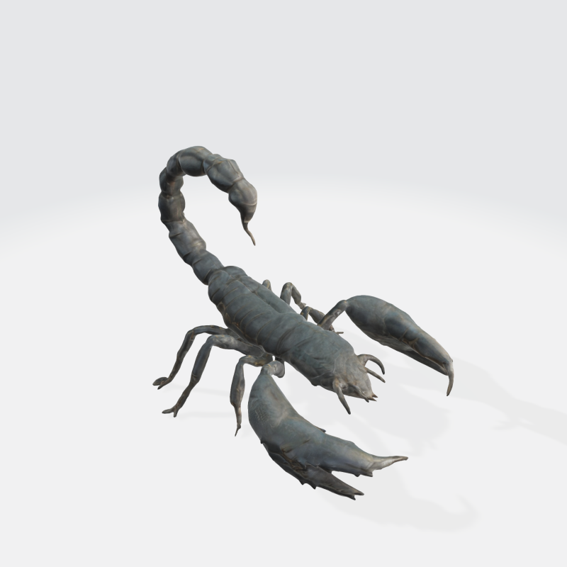 Realistic Scorpion 3D Model .c4d .max .obj .3ds .fbx .stl .blend 
