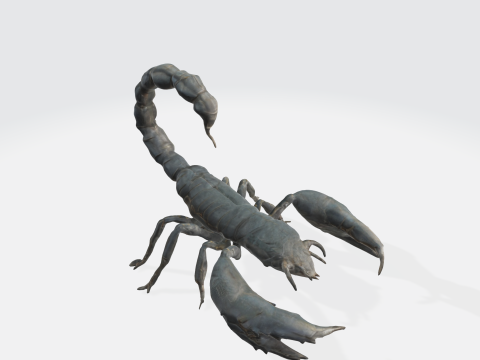 Realistic Scorpion 3D Model