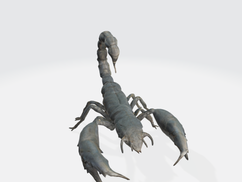 Realistic Scorpion 3D Model