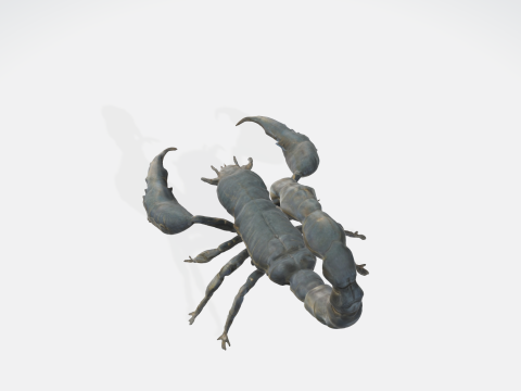 Realistic Scorpion 3D Model