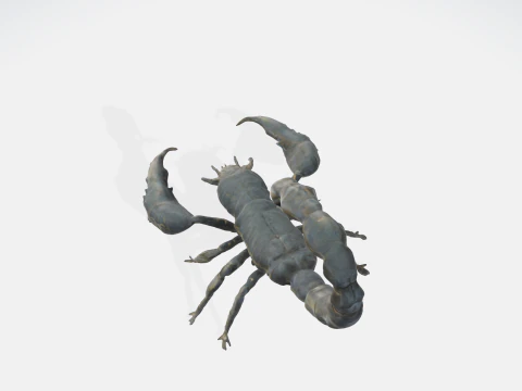 Realistic Scorpion 3D Model