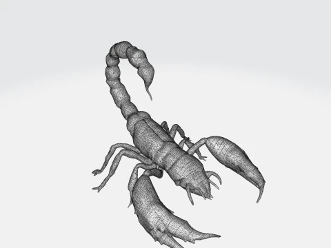 Realistic Scorpion 3D Model